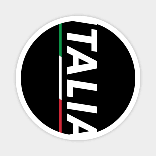 Italia product - Proud Italian - Italian Soccer Jersey Style Magnet